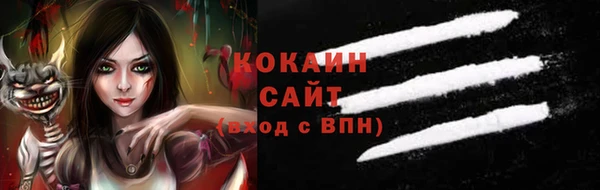 стафф Вязьма