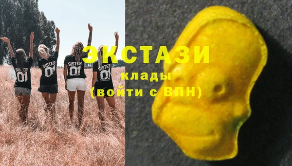 стафф Вязьма