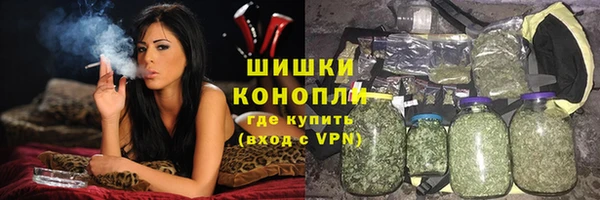 ПСИЛОЦИБИНОВЫЕ ГРИБЫ Вязники